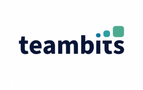 Partner teambits Logo teambits Logo