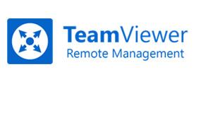 TeamViewer Remote Management Jahresabonnement 