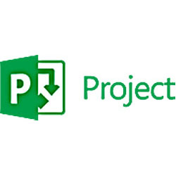Project Server (Discounted)
